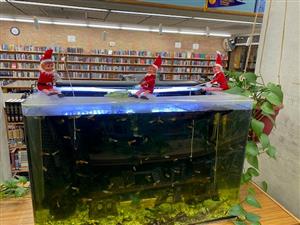 fishing elves